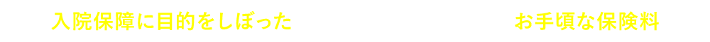 入院保障に目的をしぼった、家計の負担にならないお手頃な保険料